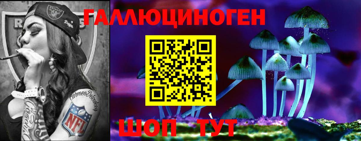 Ижевск  Галлюциногенные грибы Psilocybine cubensis  Вход с VPN 